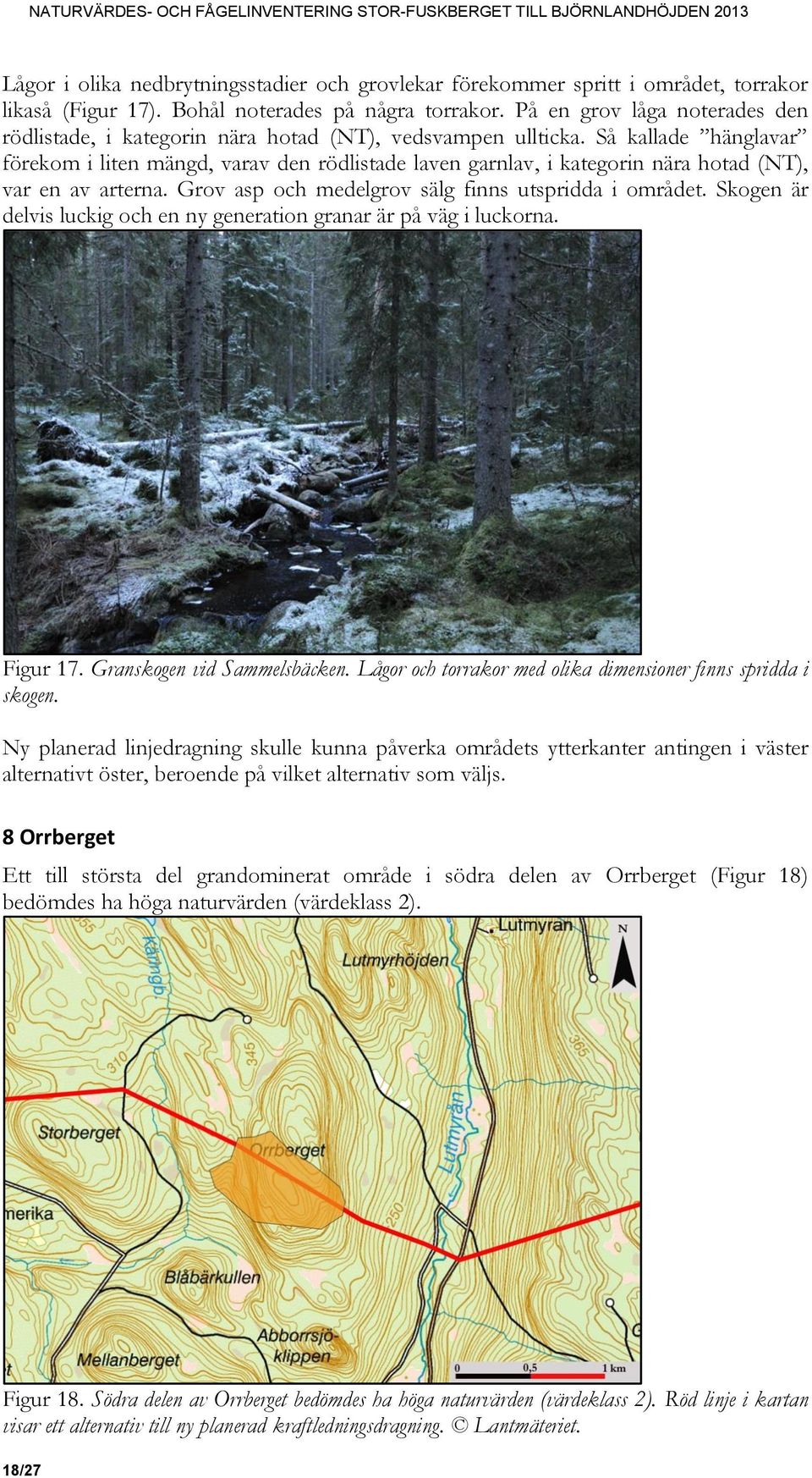 Så kallade hänglavar förekom i liten mängd, varav den rödlistade laven garnlav, i kategorin nära hotad (NT), var en av arterna. Grov asp och medelgrov sälg finns utspridda i området.