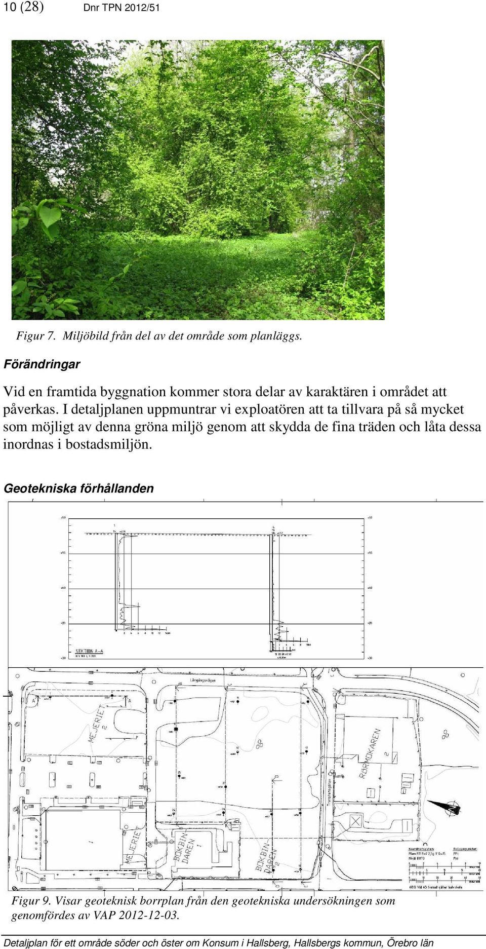 I detaljplanen uppmuntrar vi exploatören att ta tillvara på så mycket som möjligt av denna gröna miljö genom att skydda