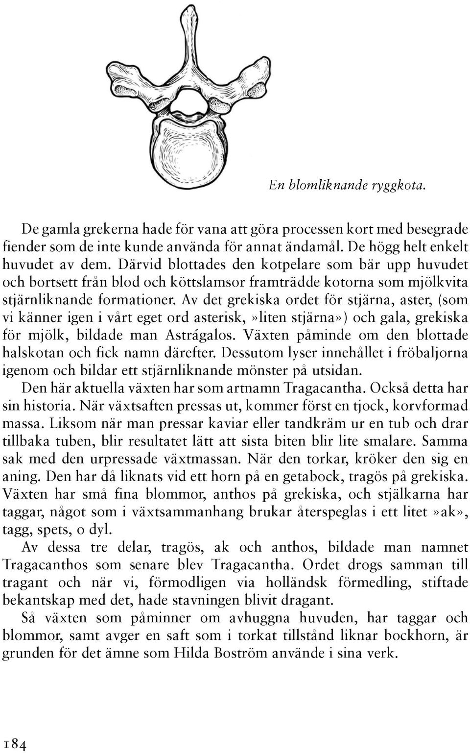 Av det grekiska ordet för stjärna, aster, (som vi känner igen i vårt eget ord asterisk,»liten stjärna») och gala, grekiska för mjölk, bildade man Astrágalos.