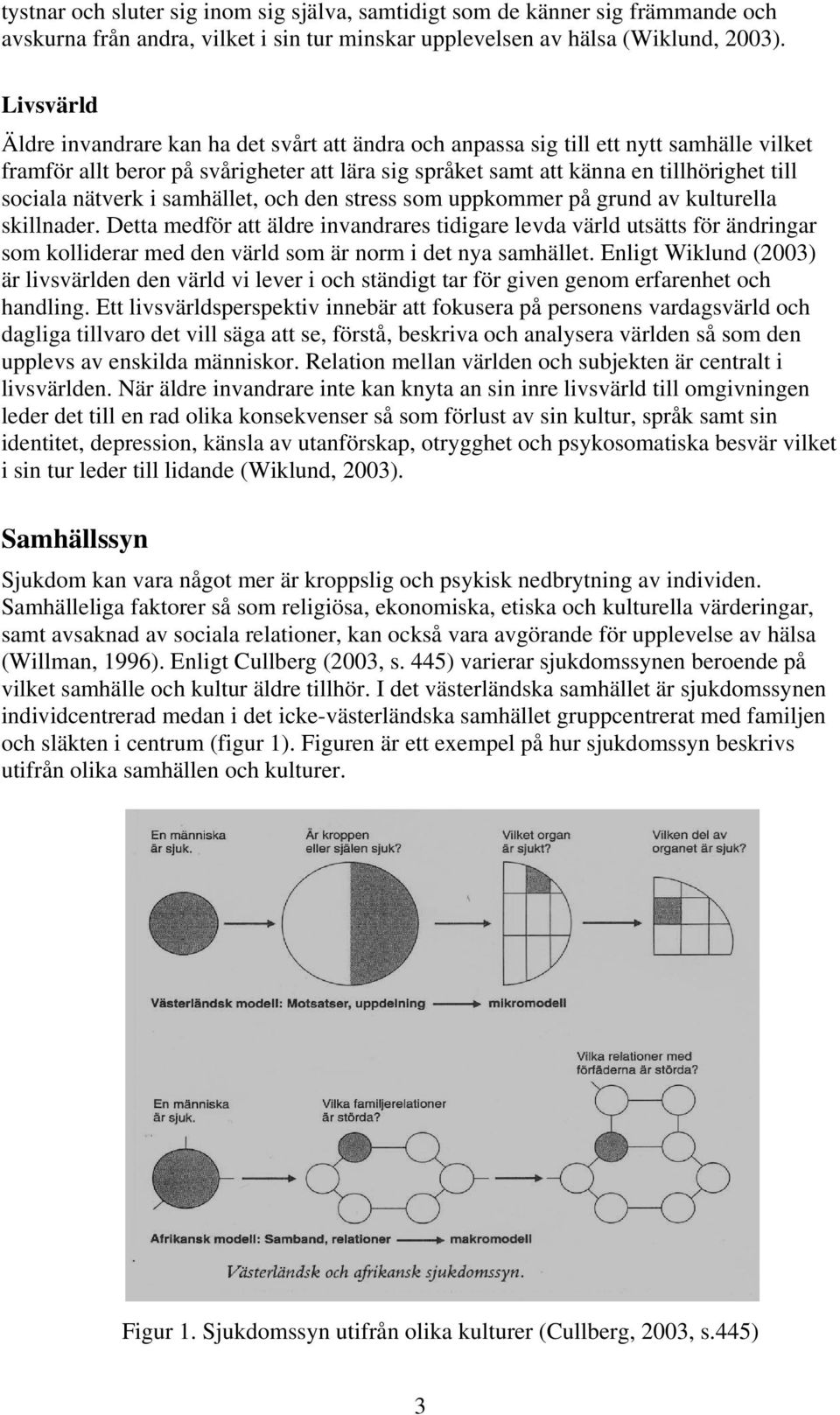 nätverk i samhället, och den stress som uppkommer på grund av kulturella skillnader.