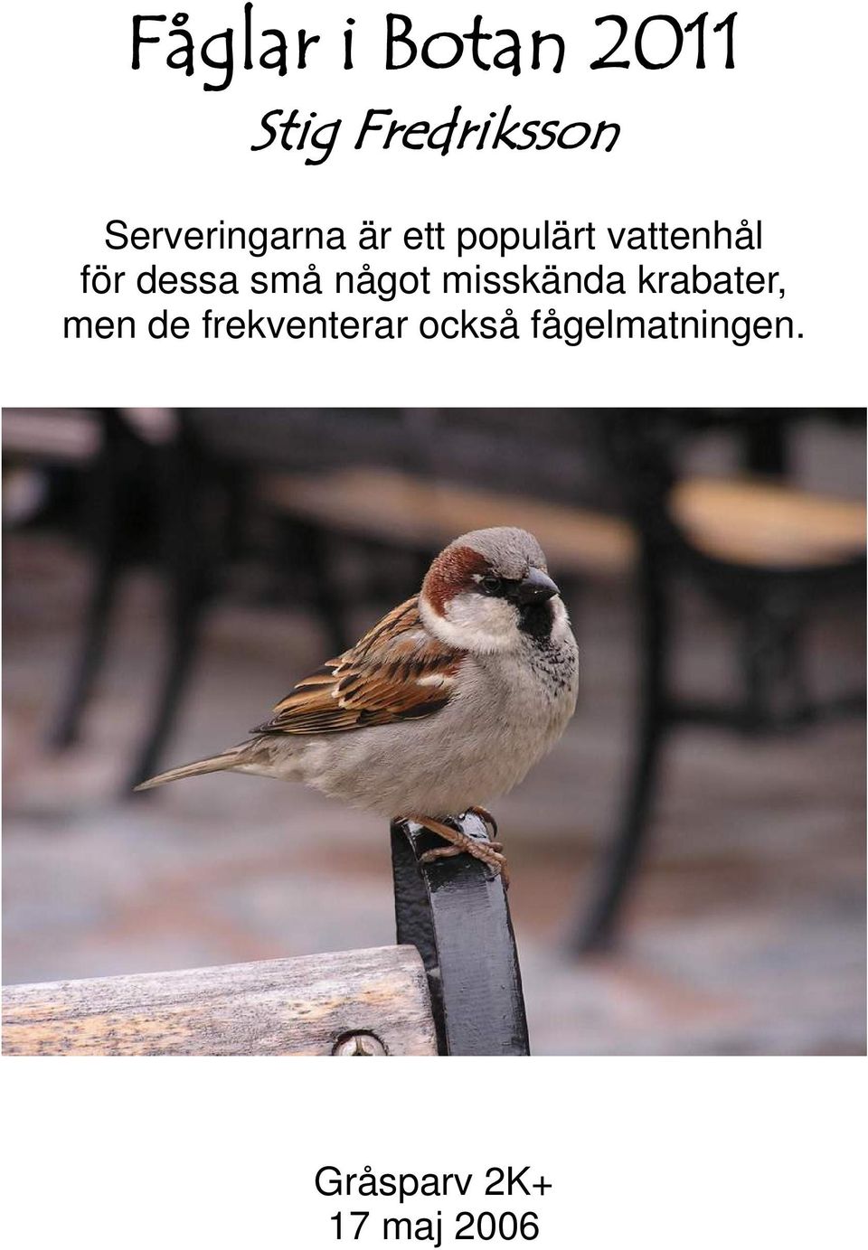 dessa små något misskända krabater, men de