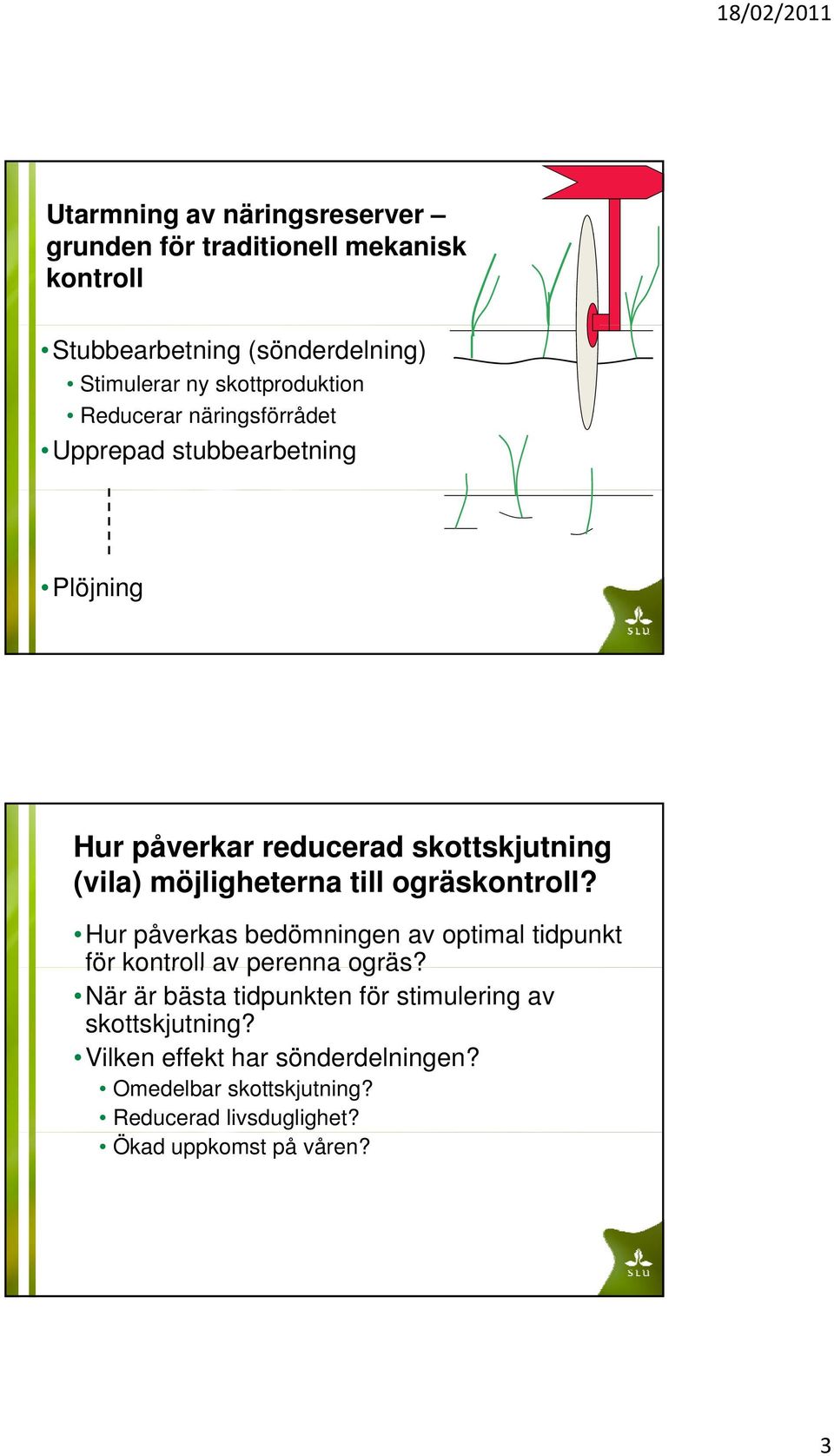 möjligheterna till ogräskontroll? Hur påverkas bedömningen av optimal tidpunkt för kontroll av perenna ogräs?