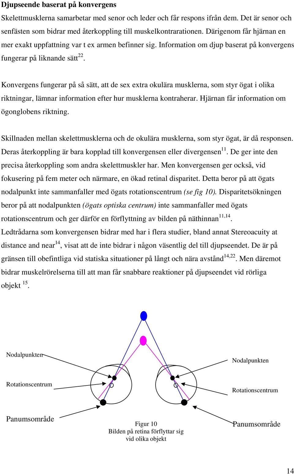 Konvergens fungerar på så sätt, att de sex extra okulära musklerna, som styr ögat i olika riktningar, lämnar information efter hur musklerna kontraherar.