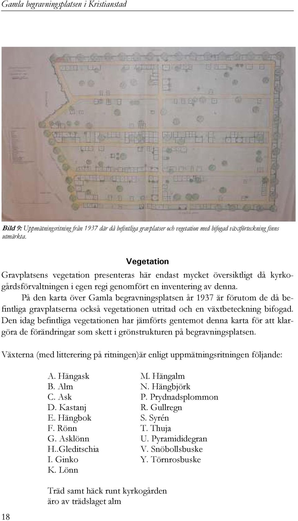 På den karta över Gamla begravningsplatsen år 1937 är förutom de då befintliga gravplatserna också vegetationen utritad och en växtbeteckning bifogad.