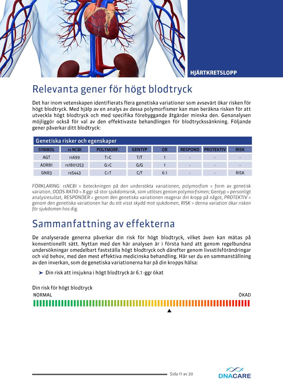 Genanalysen möjliggör också för val av den effektivaste behandlingen för blodtryckssänkning. Följande gener påverkar ditt blodtryck: Genetiska risker och egenskaper SYMBOL rs NCBI POLYMORF.