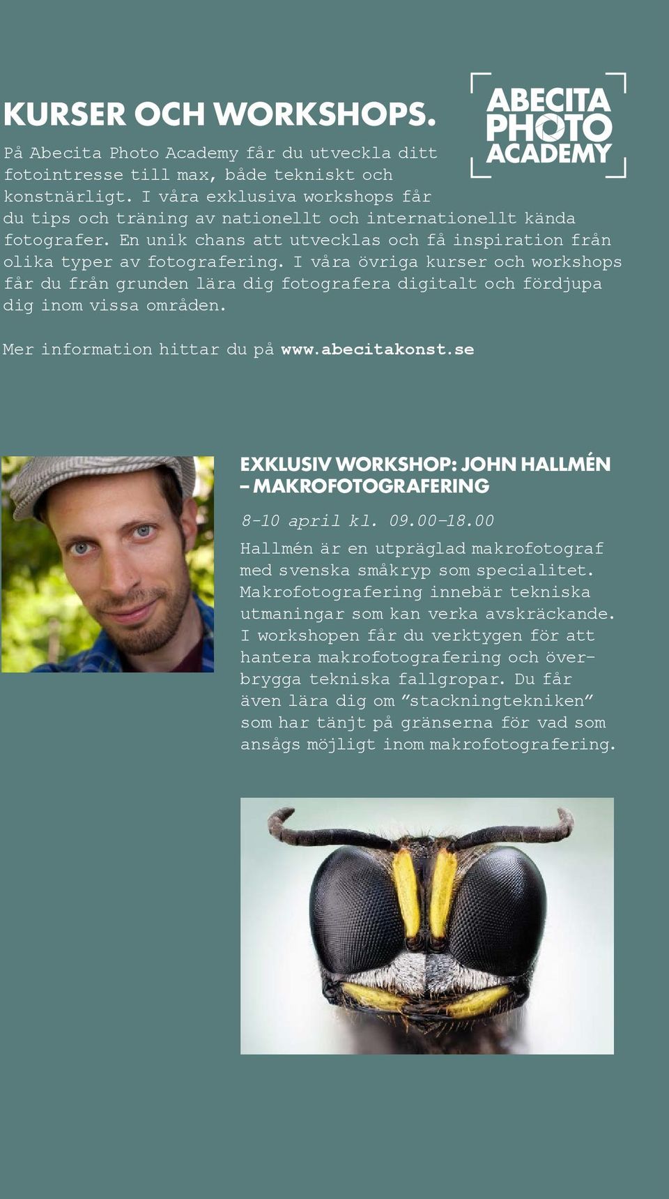 I våra övriga kurser och workshops får du från grunden lära dig fotografera digitalt och fördjupa dig inom vissa områden. Mer information hittar du på www.abecitakonst.