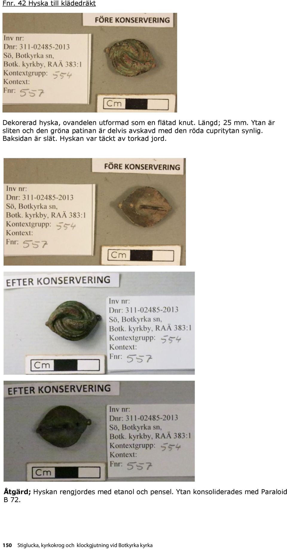 Baksidan är slät. Hyskan var täckt av torkad jord. Åtgärd; Hyskan rengjordes med etanol och pensel.