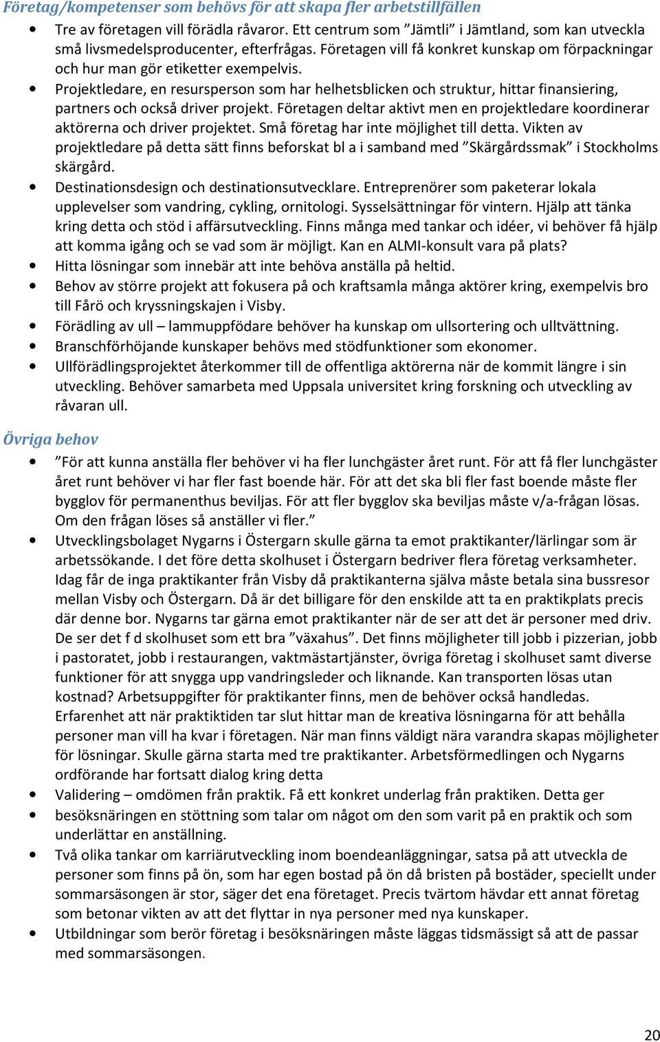 Projektledare, en resursperson som har helhetsblicken och struktur, hittar finansiering, partners och också driver projekt.