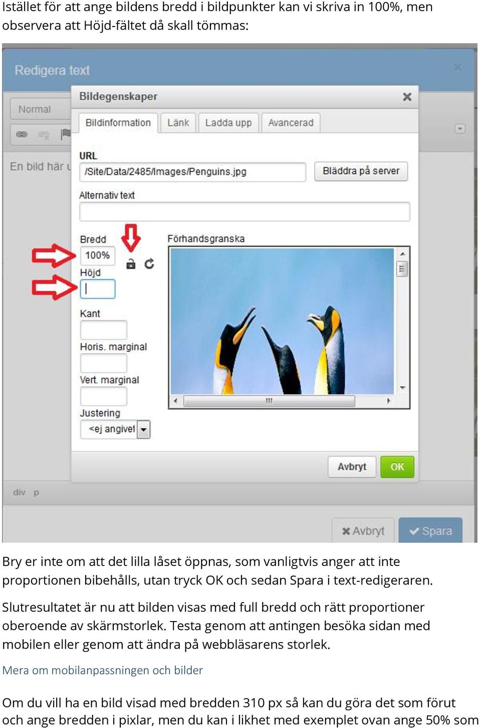 Slutresultatet är nu att bilden visas med full bredd och rätt proportioner oberoende av skärmstorlek.