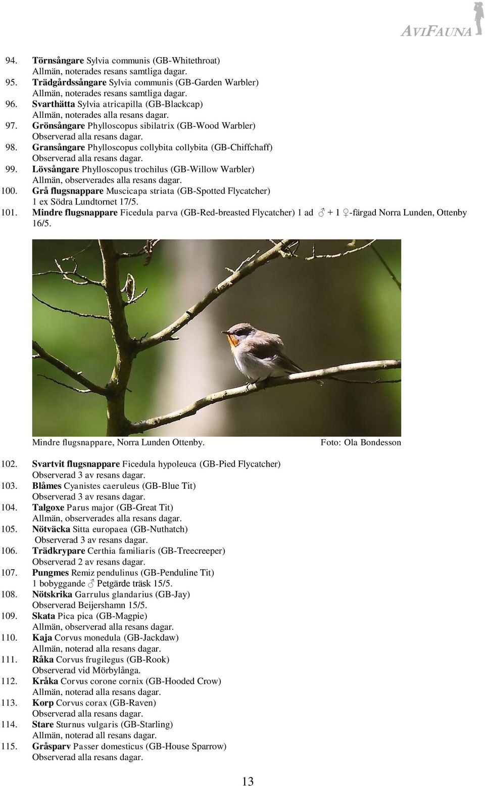 Gransångare Phylloscopus collybita collybita (GB-Chiffchaff) 99. Lövsångare Phylloscopus trochilus (GB-Willow Warbler) Allmän, observerades alla resans dagar. 100.