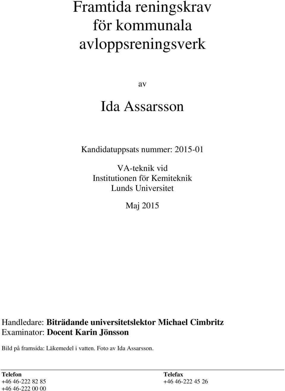 Biträdande universitetslektor Michael Cimbritz Examinator: Docent Karin Jönsson Bild på framsida: