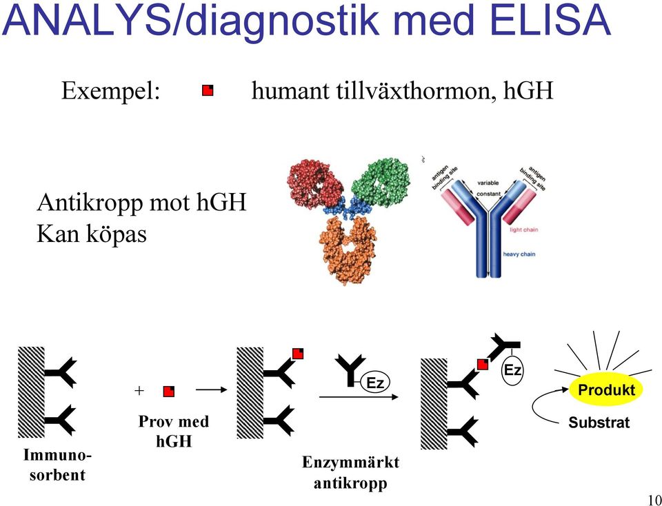 hgh Kan köpas + Ez Ez Produkt