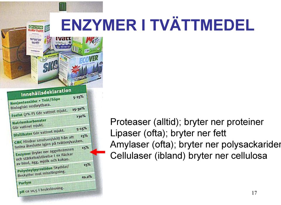 ner fett Amylaser (ofta); bryter ner