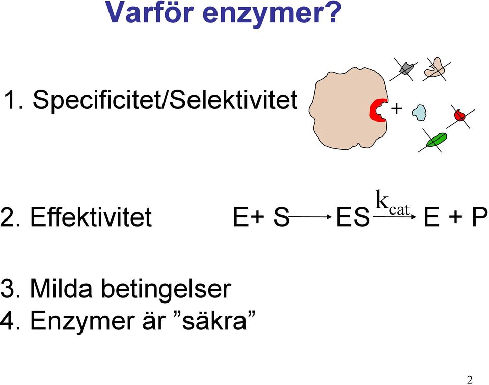 Effektivitet E+ S ES cat E + P