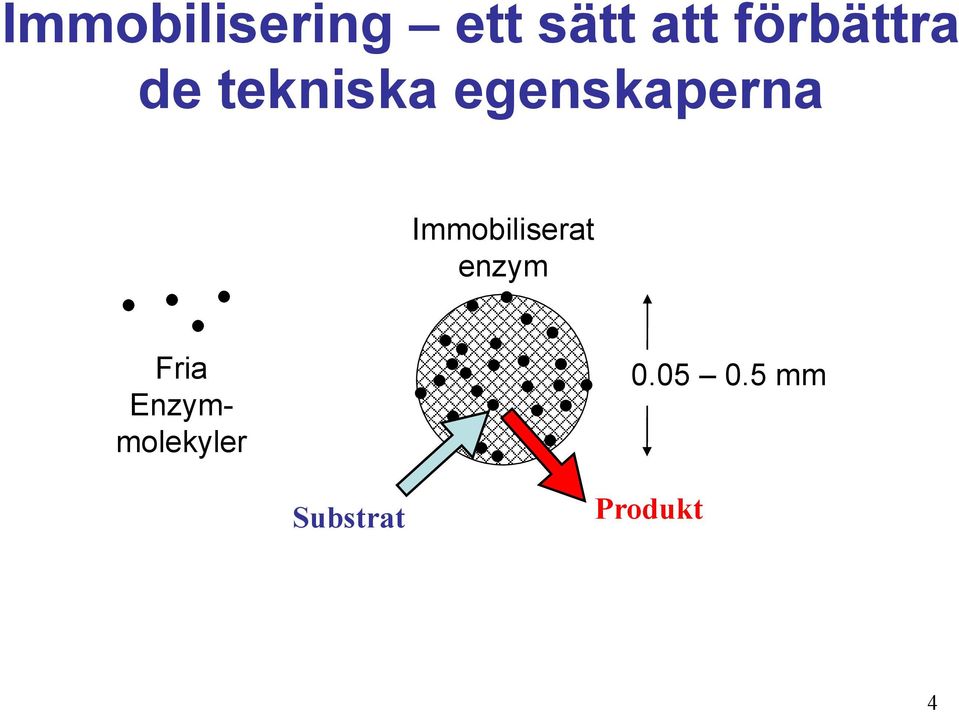 egenskaperna Immobiliserat enzym