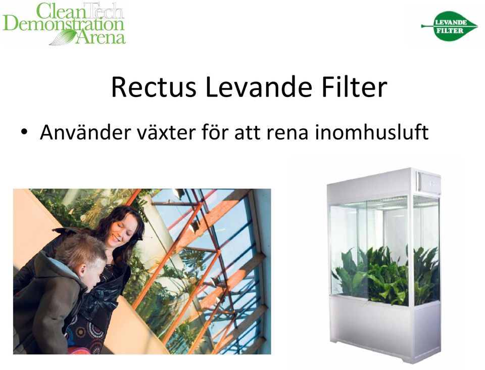 växter för att