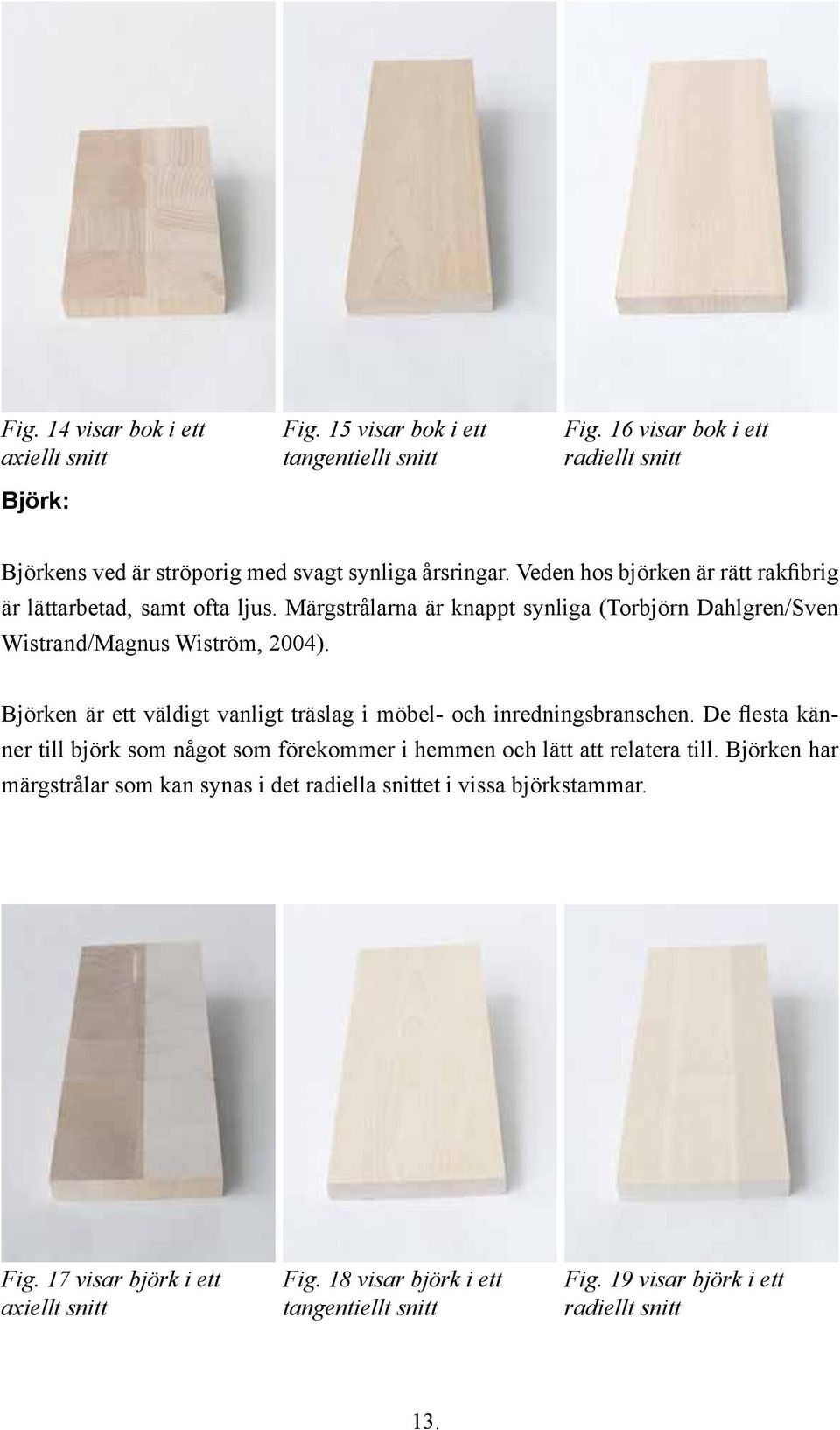 Märgstrålarna är knappt synliga (Torbjörn Dahlgren/Sven Wistrand/Magnus Wiström, 2004). Björken är ett väldigt vanligt träslag i möbel- och inredningsbranschen.