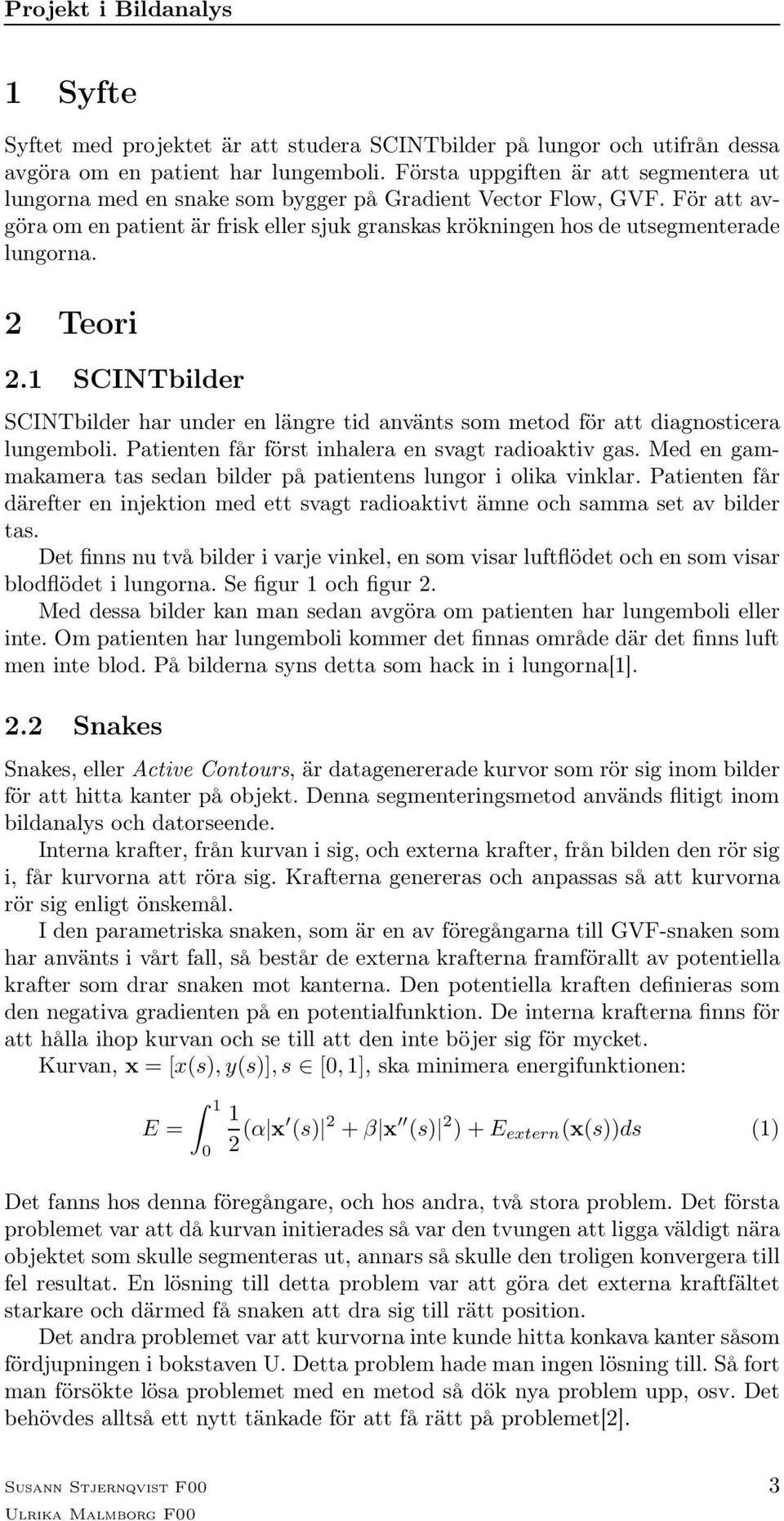 För att avgöra om en patient är frisk eller sjuk granskas krökningen hos de utsegmenterade lungorna. 2 Teori 2.