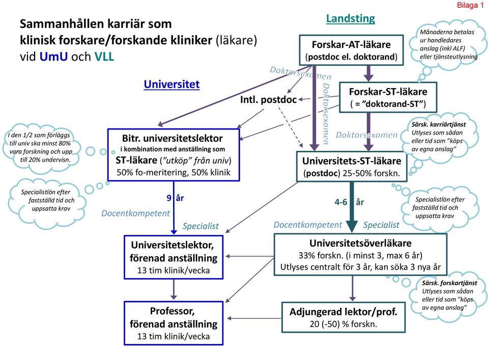 postdoc Forskar ST läkare ( = doktorand ST ) I den 1/2 som förläggs till univ ska minst 80% vara forskning och upp till 20% undervisn. Bitr.