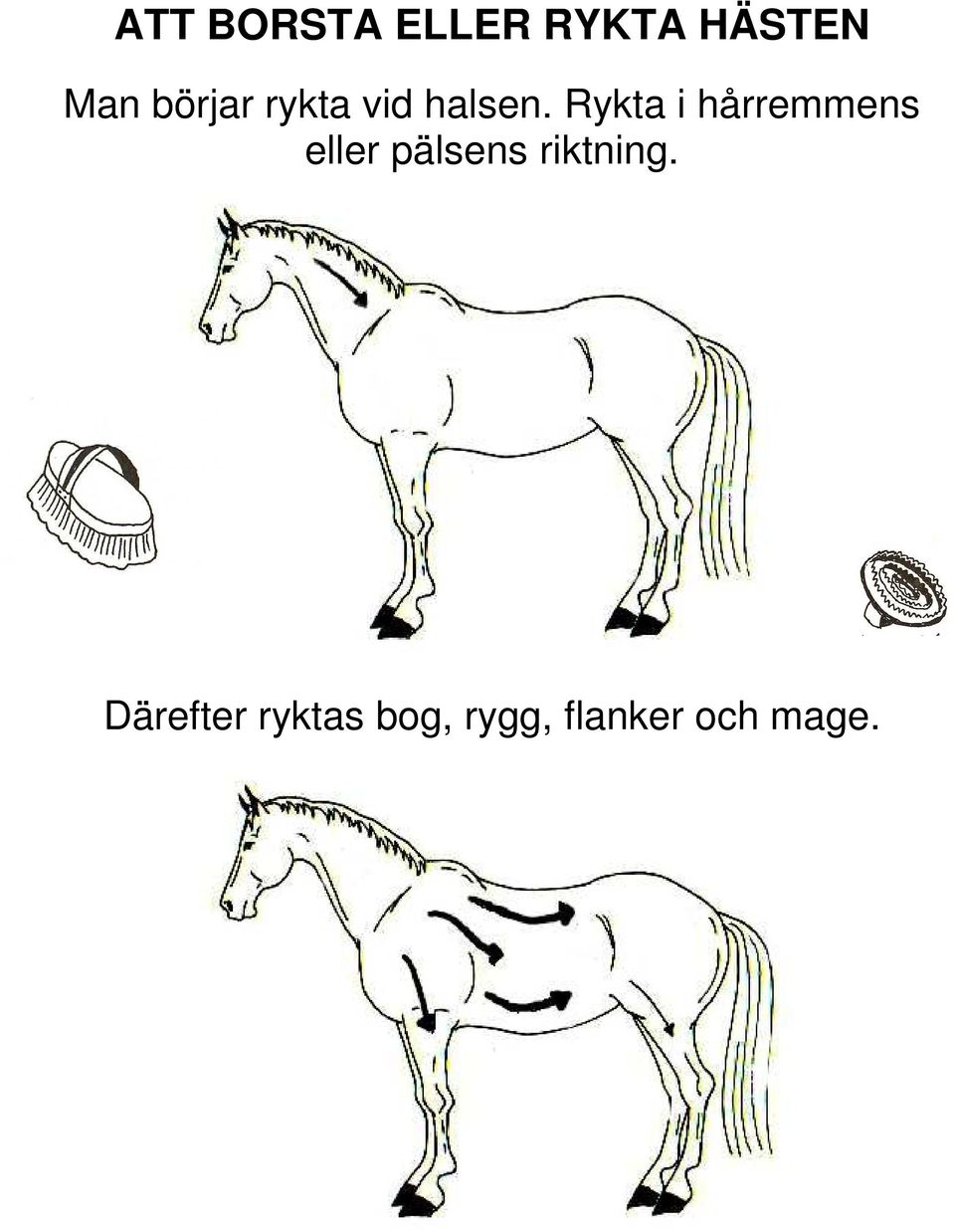 Rykta i hårremmens eller pälsens