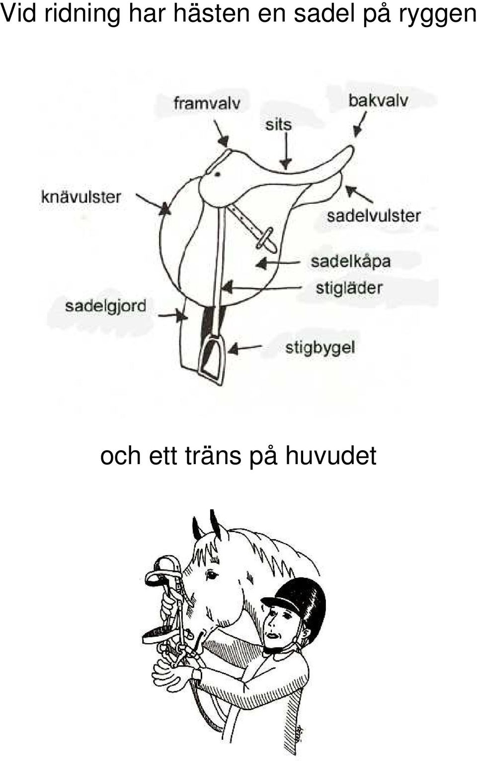 på ryggen och