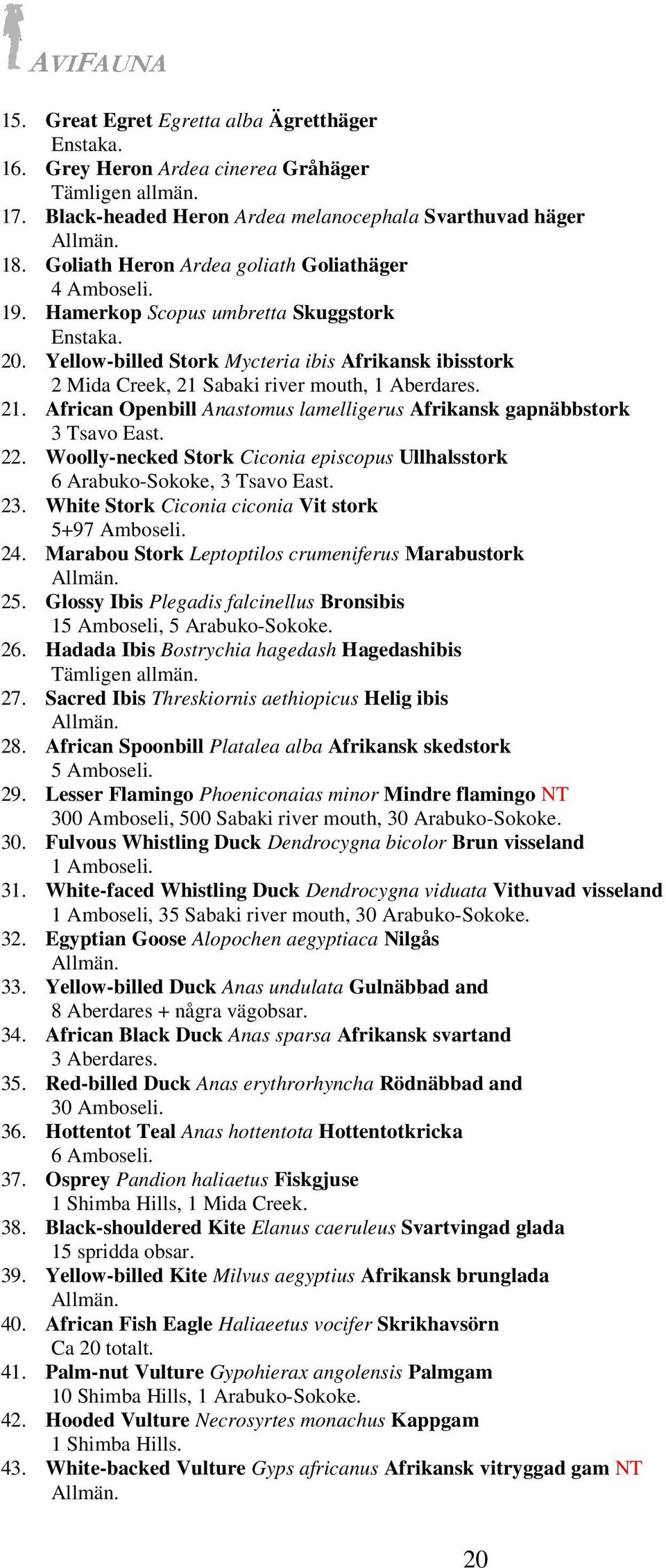Yellow-billed Stork Mycteria ibis Afrikansk ibisstork 2 Mida Creek, 21 Sabaki river mouth, 1 Aberdares. 21. African Openbill Anastomus lamelligerus Afrikansk gapnäbbstork 3 Tsavo East. 22.