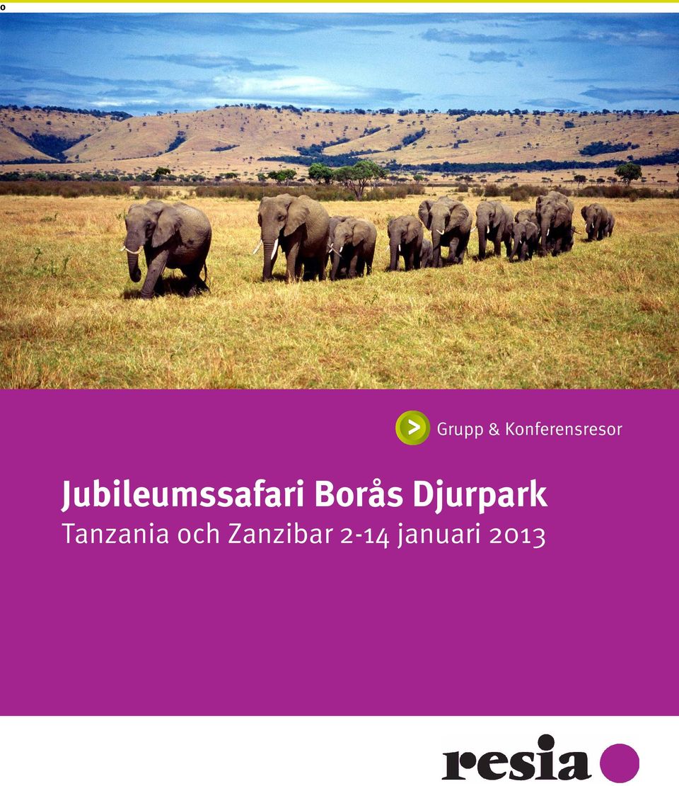 Jubileumssafari Borås