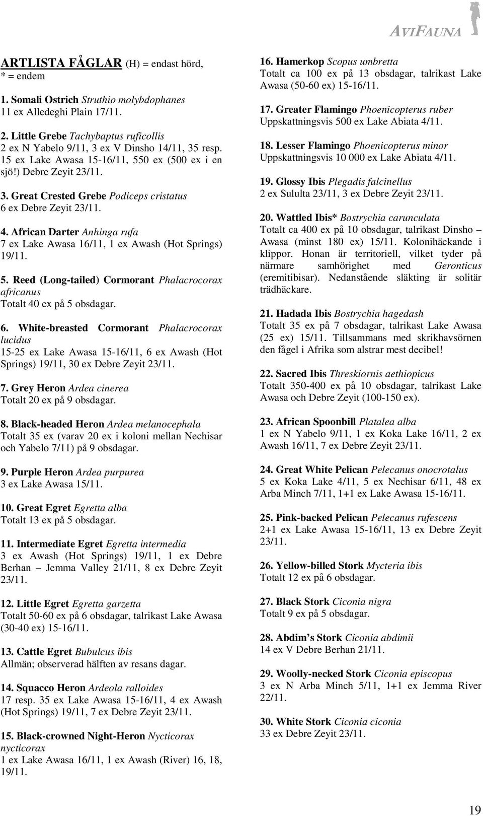 4. African Darter Anhinga rufa 7 ex Lake Awasa 16/11, 1 ex Awash (Hot Springs) 19/11. 5. Reed (Long-tailed) Cormorant Phalacrocorax africanus Totalt 40 ex på 5 obsdagar. 6.