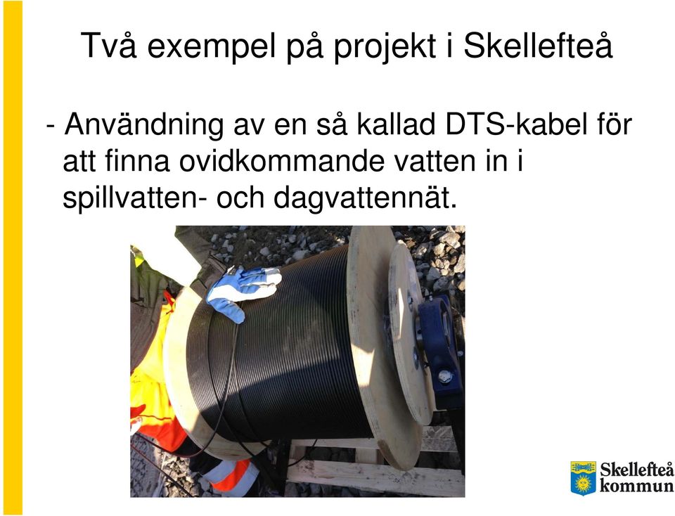 DTS-kabel för att finna