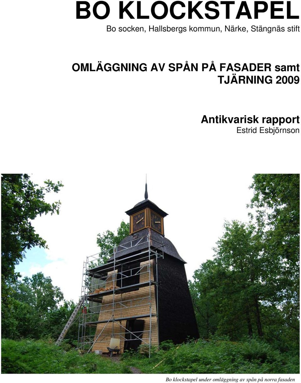 TJÄRNING 2009 Antikvarisk rapport Estrid Esbjörnson