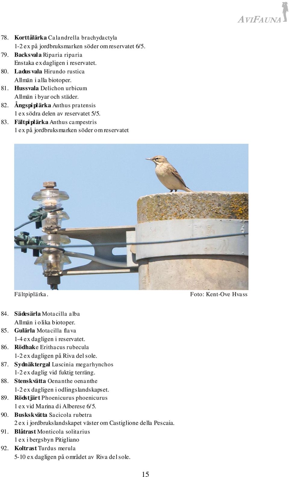 Fältpiplärka Anthus campestris 1 ex på jordbruksmarken söder om reservatet Fältpiplärka. 84. Sädesärla Motacilla alba Allmän i olika biotoper. 85. Gulärla Motacilla flava 1-4 ex dagligen i reservatet.