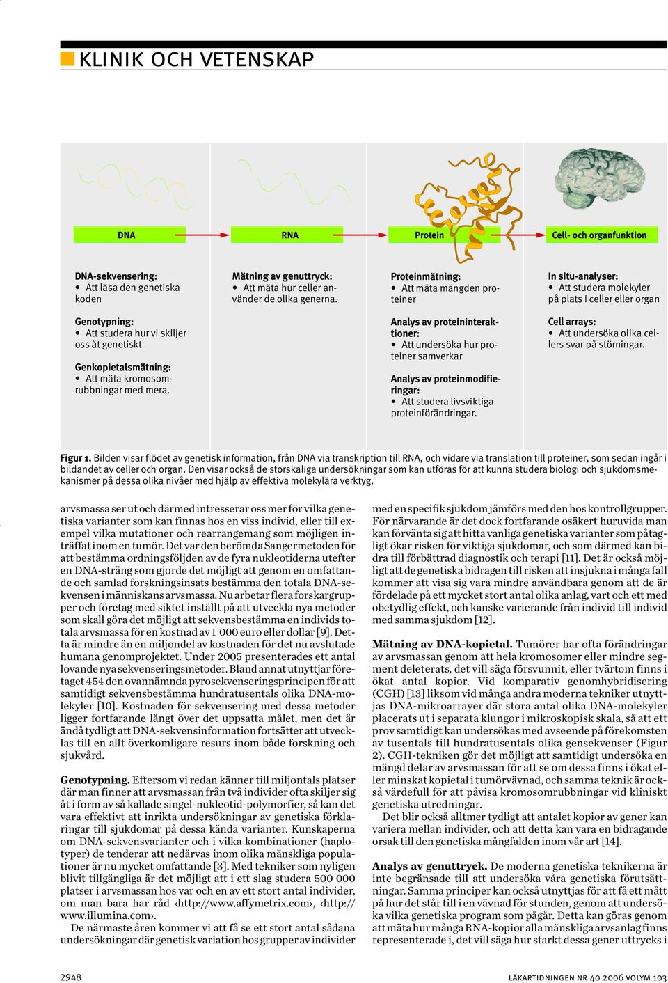 kromosomrubbningar med mera. Analys av proteininteraktioner: Att undersöka hur proteiner samverkar Analys av proteinmodifieringar: Att studera livsviktiga proteinförändringar.