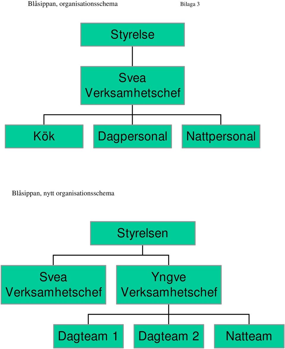 Blåsippan, nytt organisationsschema Styrelsen Svea