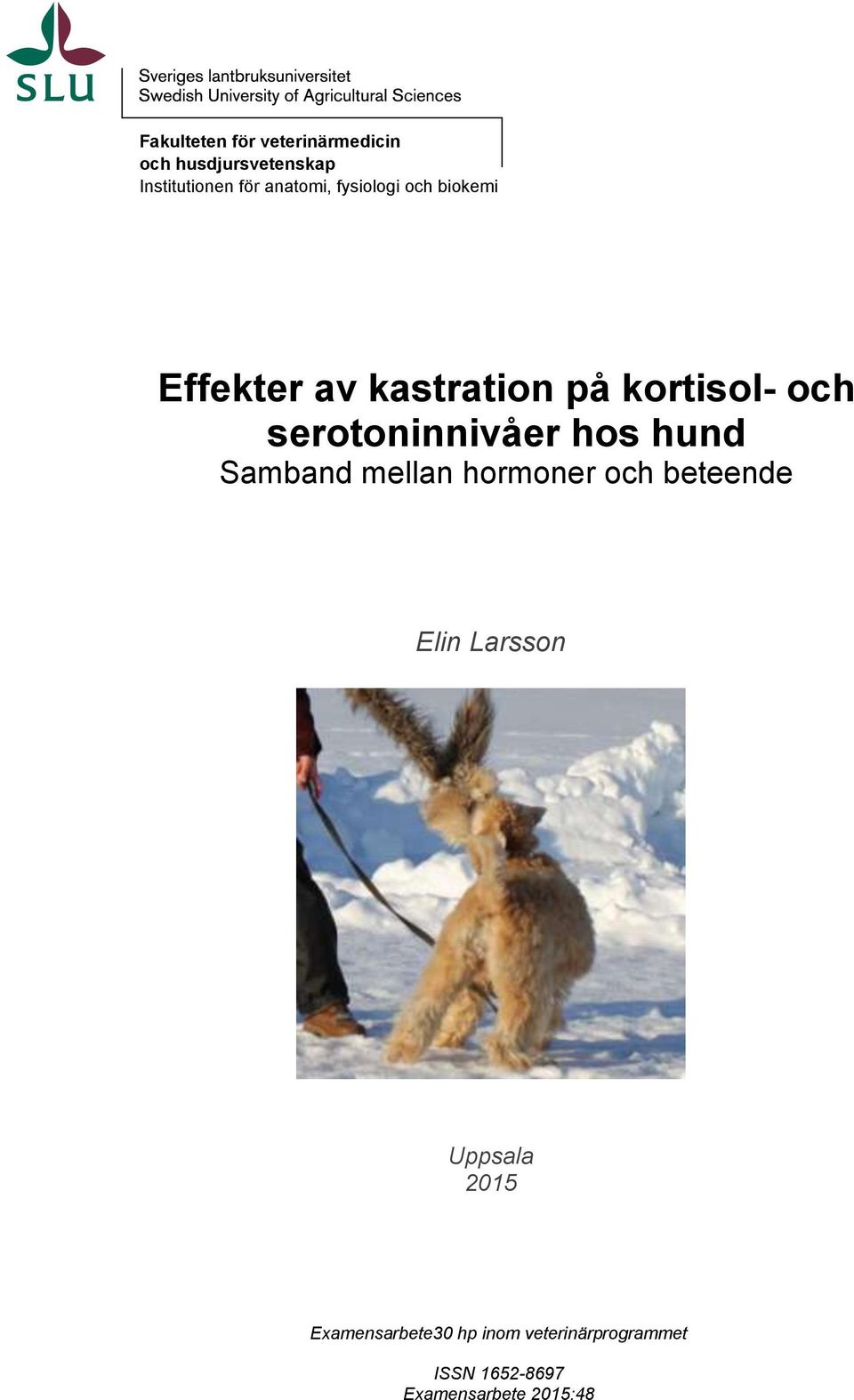 serotoninnivåer hos hund Samband mellan hormoner och beteende Elin Larsson