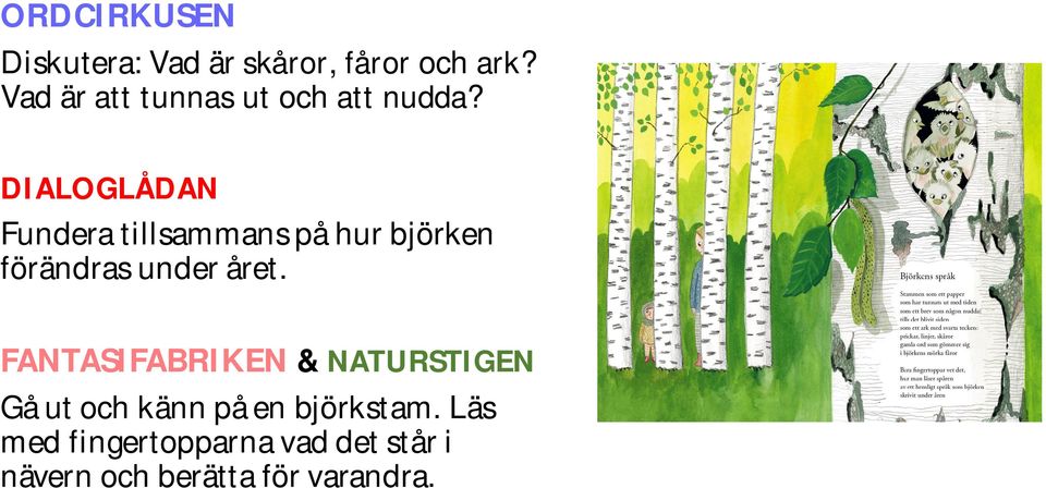 DIALOGLÅDAN Fundera tillsammans på hur björken förändras under året.