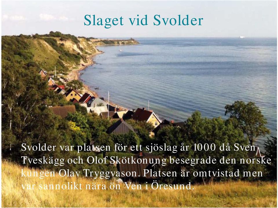 Skötkonung besegrade den norske kungen Olav