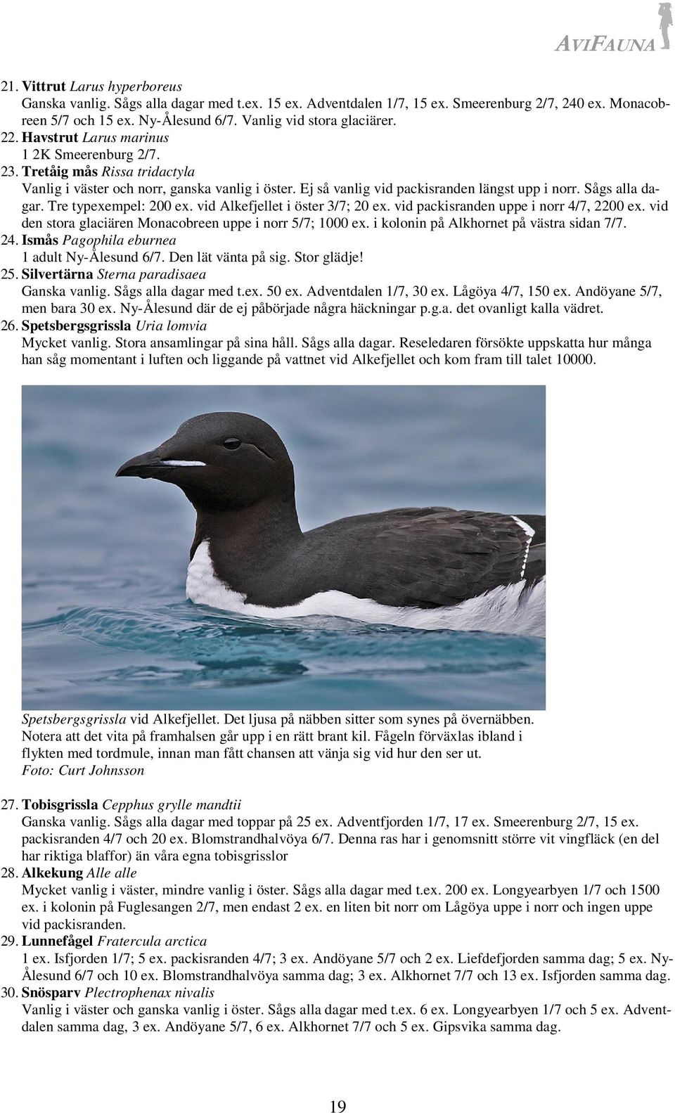 Tre typexempel: 200 ex. vid Alkefjellet i öster 3/7; 20 ex. vid packisranden uppe i norr 4/7, 2200 ex. vid den stora glaciären Monacobreen uppe i norr 5/7; 1000 ex.