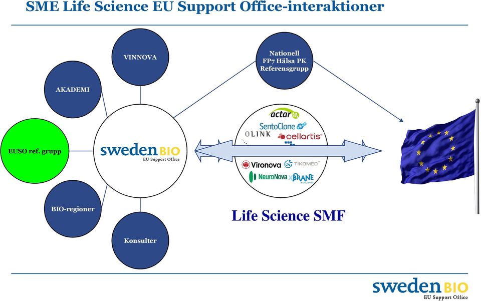 FP7 Hälsa PK Referensgrupp AKADEMI EUSO