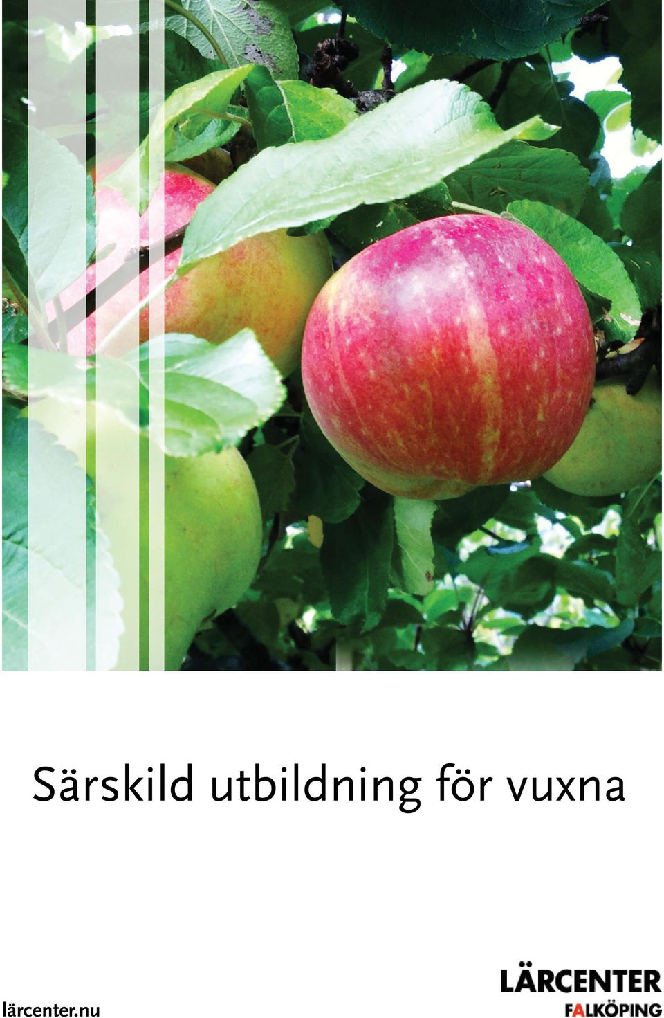 för vuxna