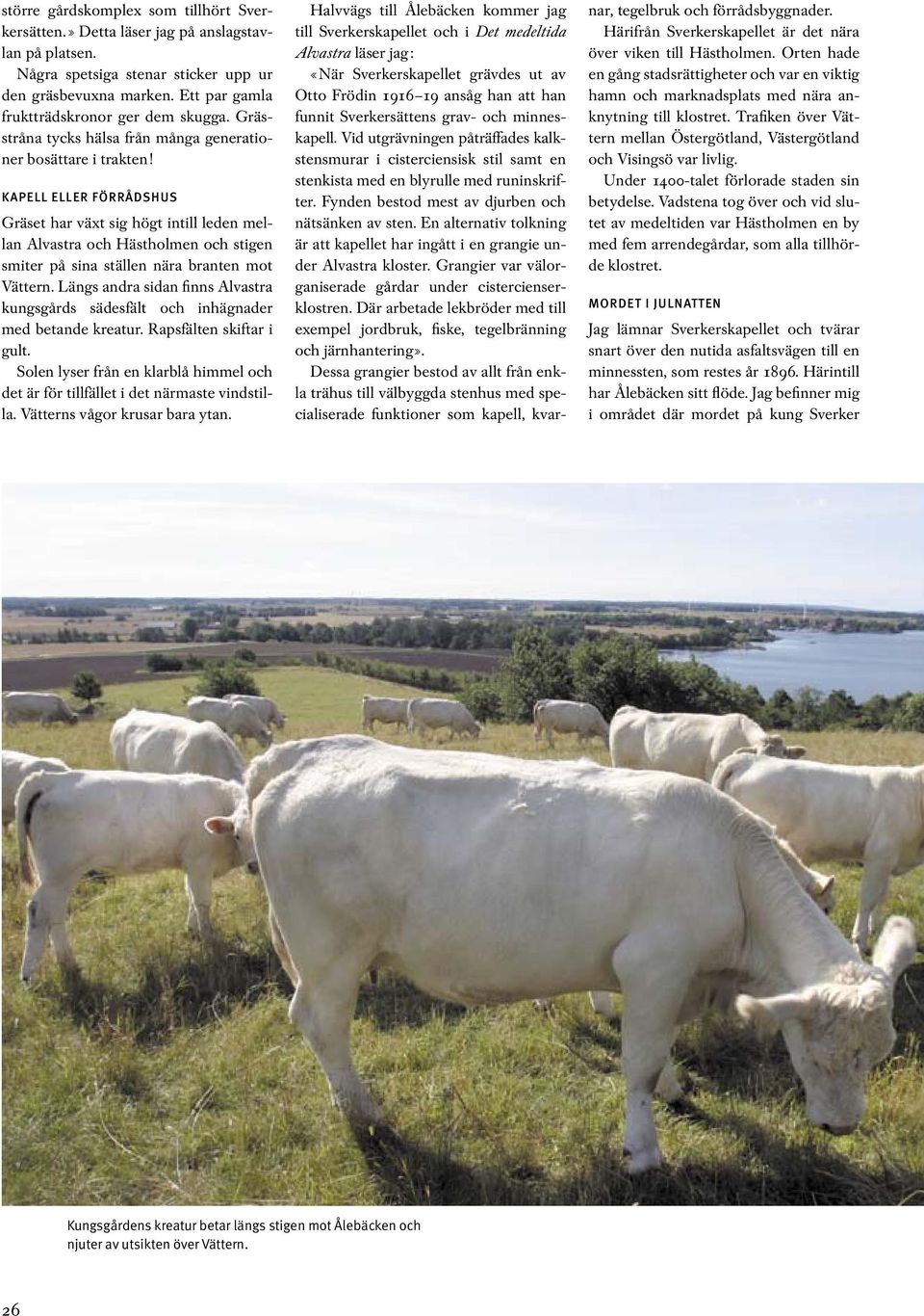 KAPELL ELLER FÖRRÅDSHUS Gräset har växt sig högt intill leden mellan Alvastra och Hästholmen och stigen smiter på sina ställen nära branten mot Vättern.