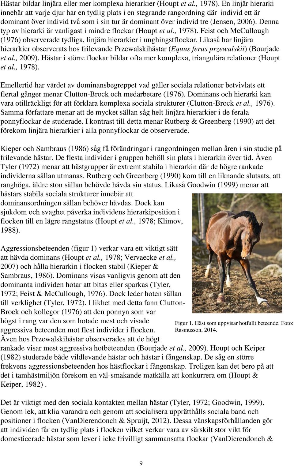 Denna typ av hierarki är vanligast i mindre flockar (Houpt et al., 1978). Feist och McCullough (1976) observerade tydliga, linjära hierarkier i unghingstflockar.