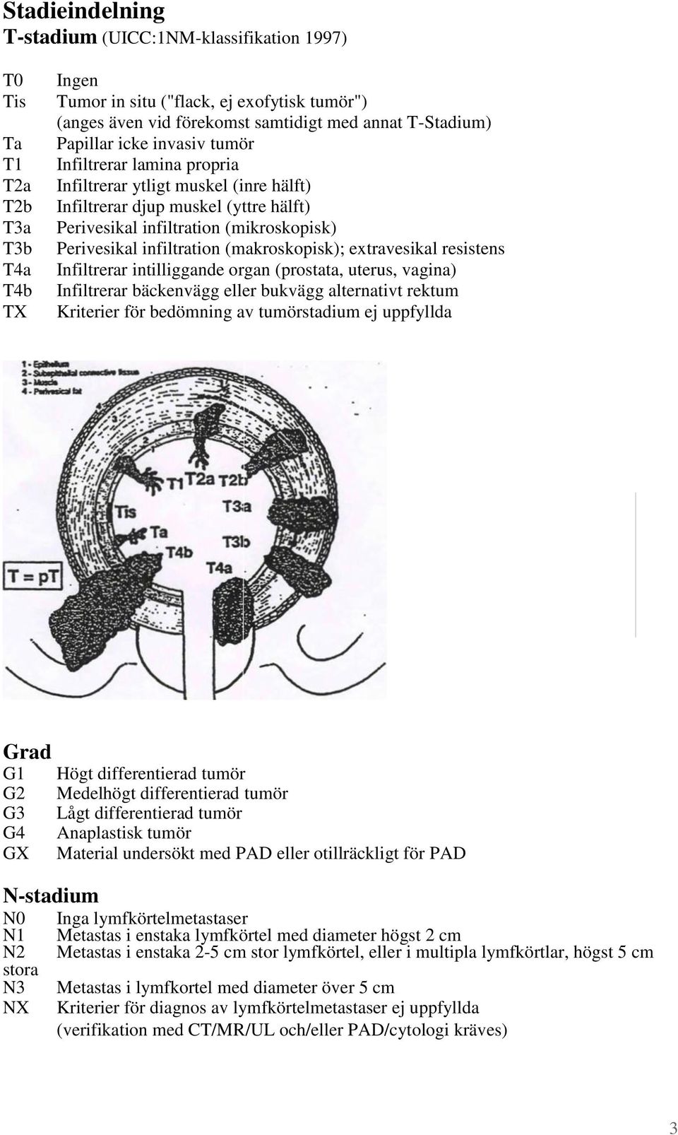 infiltration (makroskopisk); extravesikal resistens Infiltrerar intilliggande organ (prostata, uterus, vagina) Infiltrerar bäckenvägg eller bukvägg alternativt rektum Kriterier för bedömning av