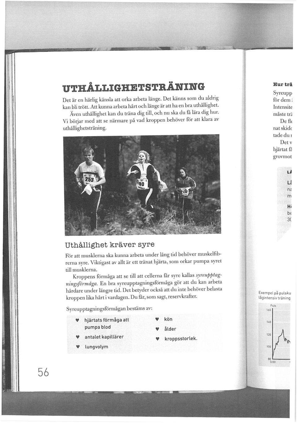 Hur trä Syreupp för dem; Intensite måste trä Deflf nät skick tade du i Det v hjärtat is gro vm o t il t Li ne m Hi b( 31 Uthållighet kräver syre För att musklerna ska kunna arbeta under lång tid