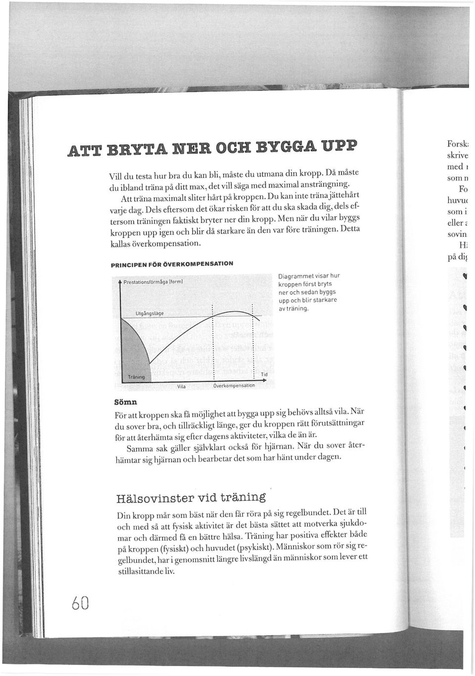 Men när du vilar byggs kroppen upp igen och blir då starkare än den var före träningen. Detta kallas överkompensation.