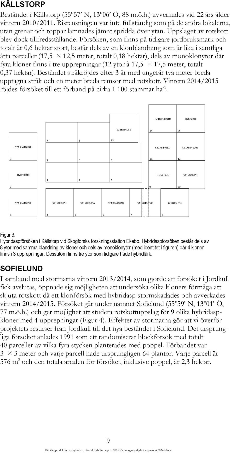 Försöken, som finns på tidigare jordbruksmark och totalt är 0,6 hektar stort, består dels av en klonblandning som är lika i samtliga åtta parceller (17,5 12,5 meter, totalt 0,18 hektar), dels av