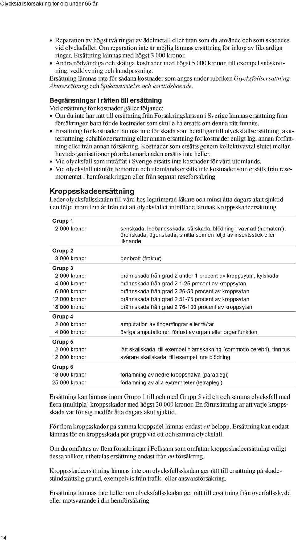 Andra nödvändiga och skäliga kostnader med högst 5 000 kronor, till exempel snöskottning, vedklyvning och hundpassning.