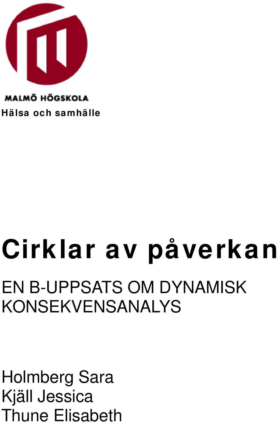 DYNAMISK KONSEKVENSANALYS