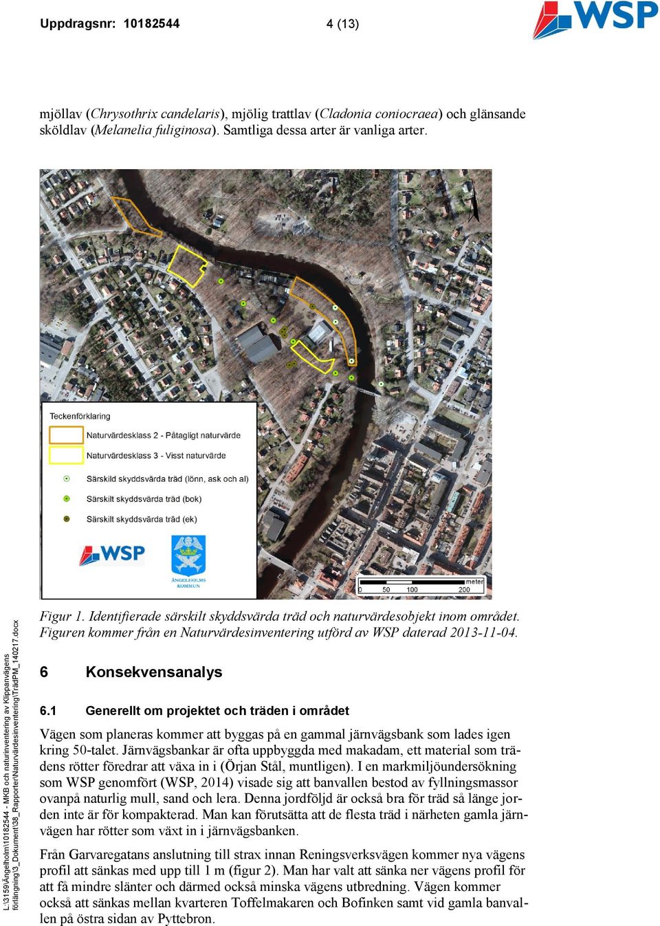 1 Generellt om projektet och träden i området Vägen som planeras kommer att byggas på en gammal järnvägsbank som lades igen kring 50-talet.