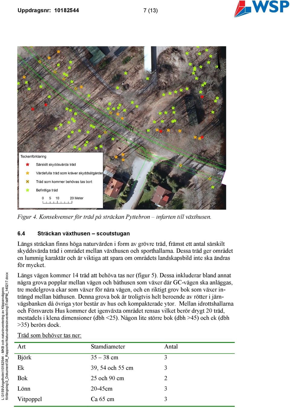 Dessa träd ger området en lummig karaktär och är viktiga att spara om områdets landskapsbild inte ska ändras för mycket. Längs vägen kommer 14 träd att behöva tas ner (figur 5).