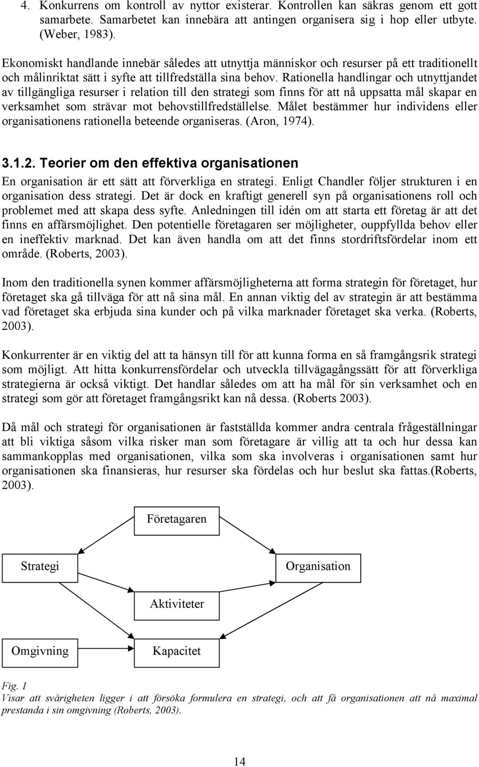 Rationella handlingar och utnyttjandet av tillgängliga resurser i relation till den strategi som finns för att nå uppsatta mål skapar en verksamhet som strävar mot behovstillfredställelse.